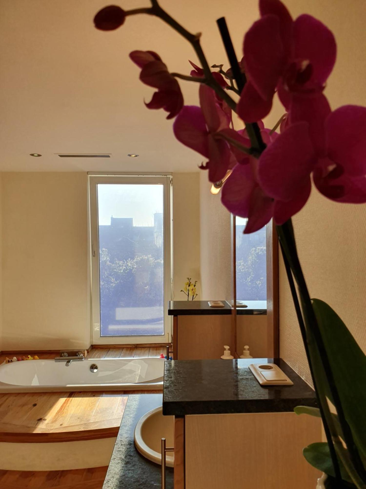 Huize La Passion Vacationhouse 10 Min Walk From The Sea Villa Middelkerke Buitenkant foto